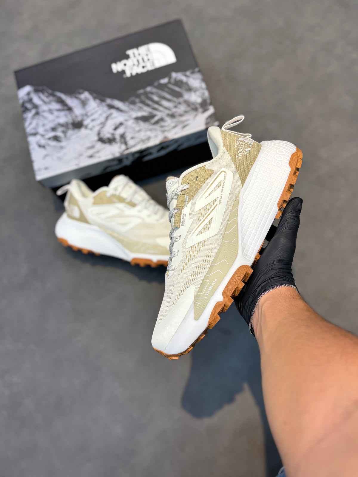 THE NORTH FACE ALTAMESA 500