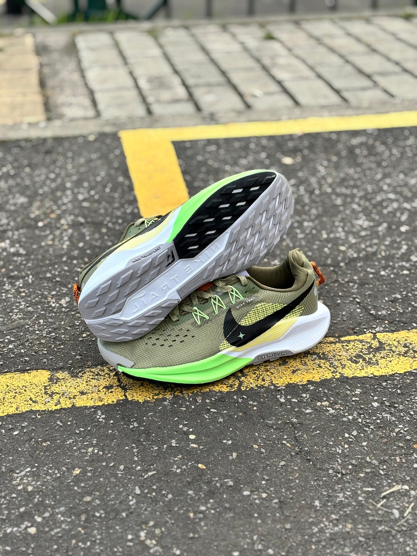 NIKE PEGASUS TRAIL