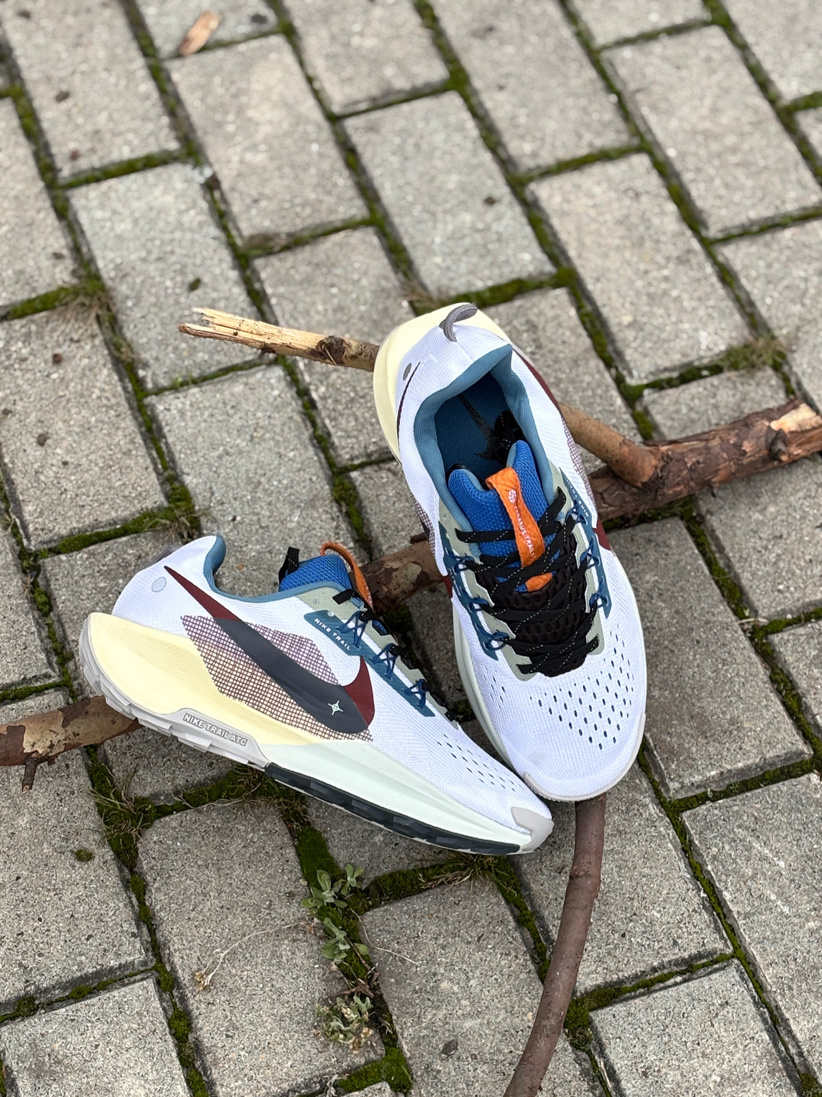 NIKE TRAIL PAGASUS
