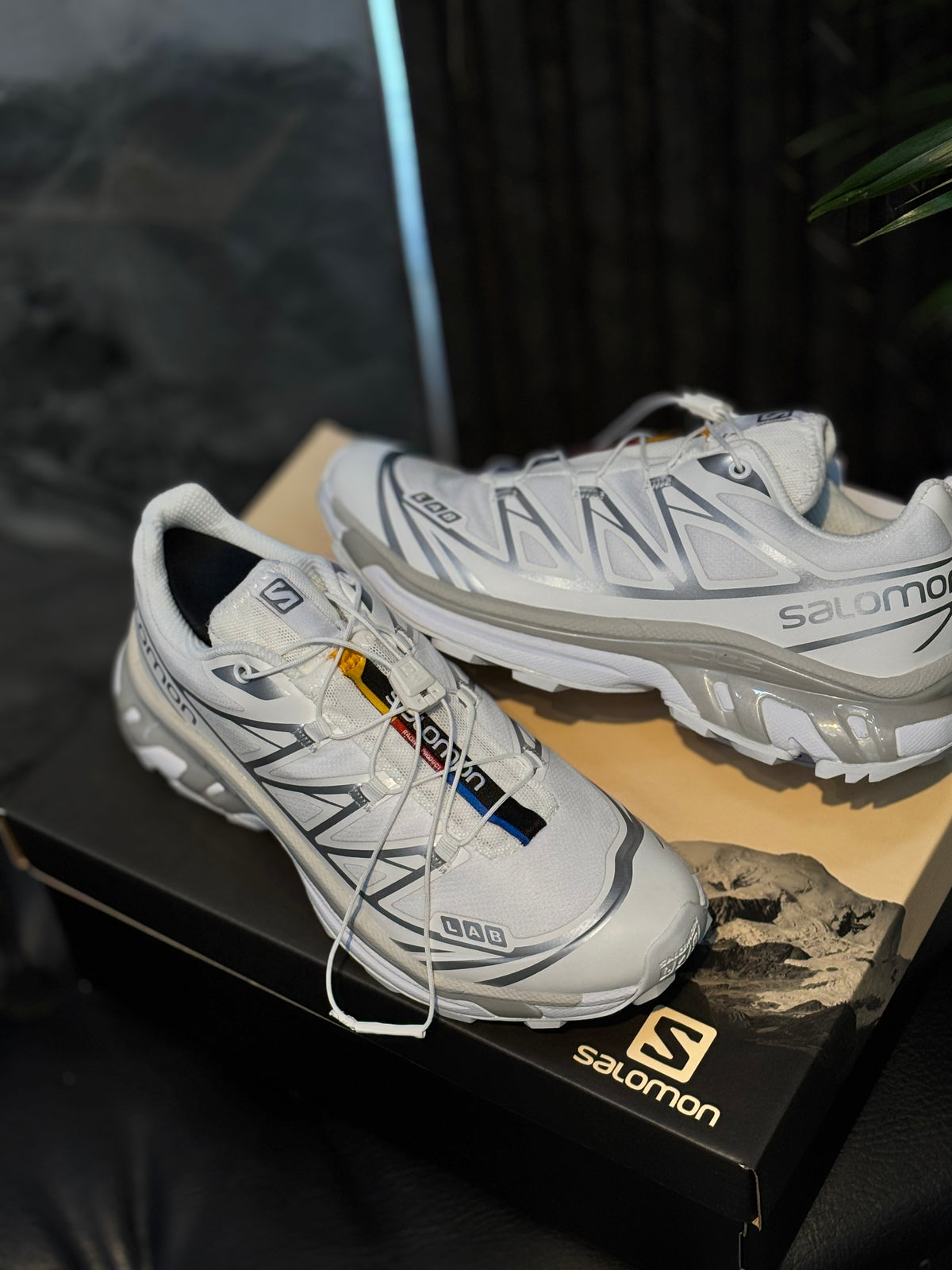 SALOMÓN-XT6