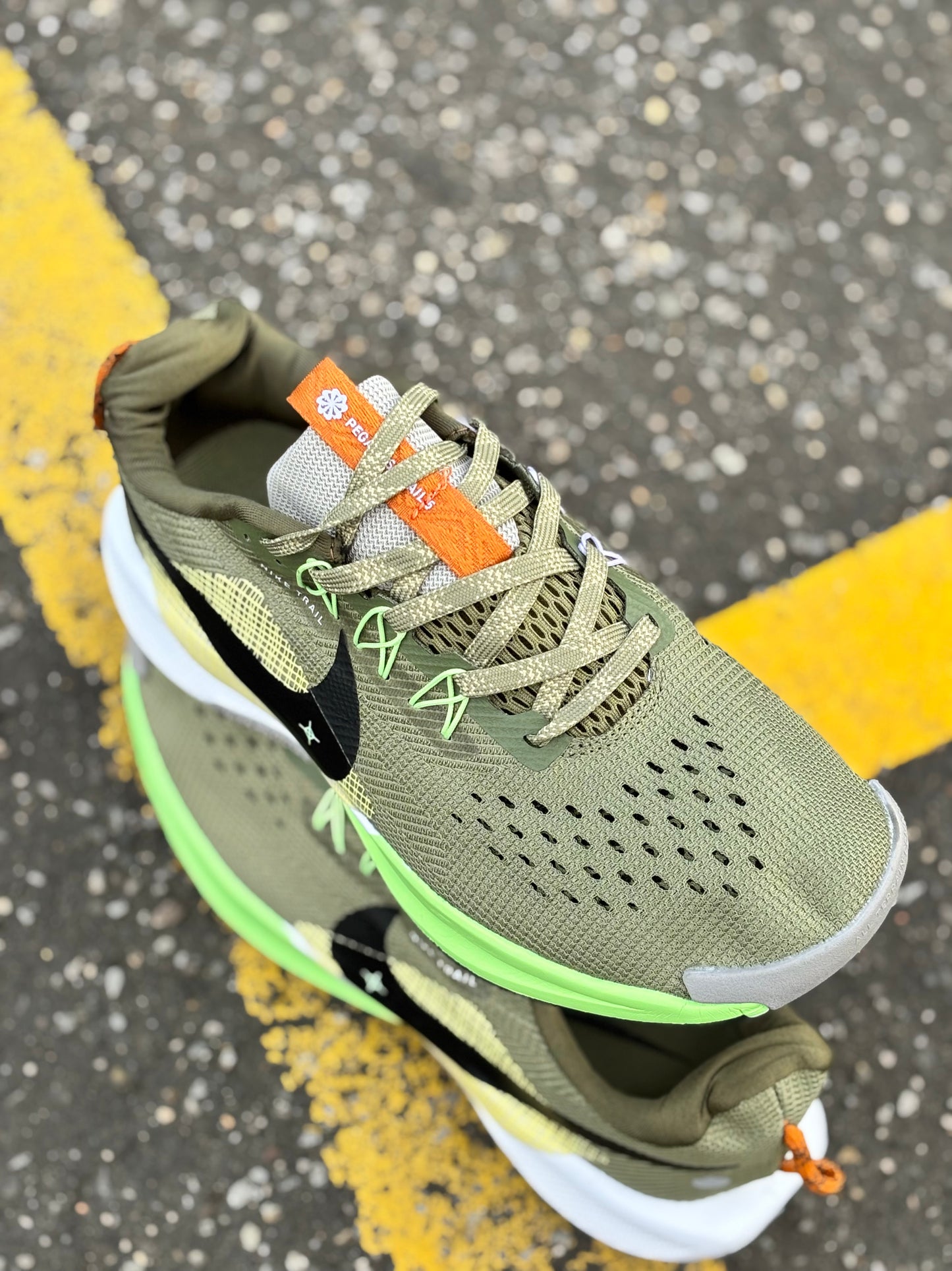 NIKE PEGASUS TRAIL