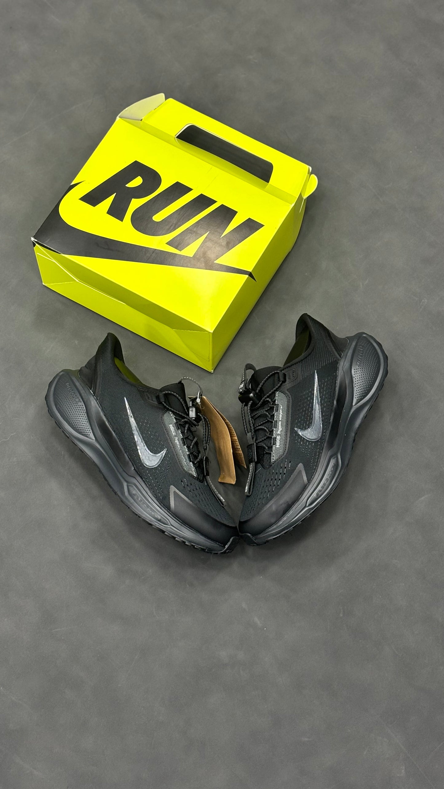 NIKE PEGASUS 41 EasyOn