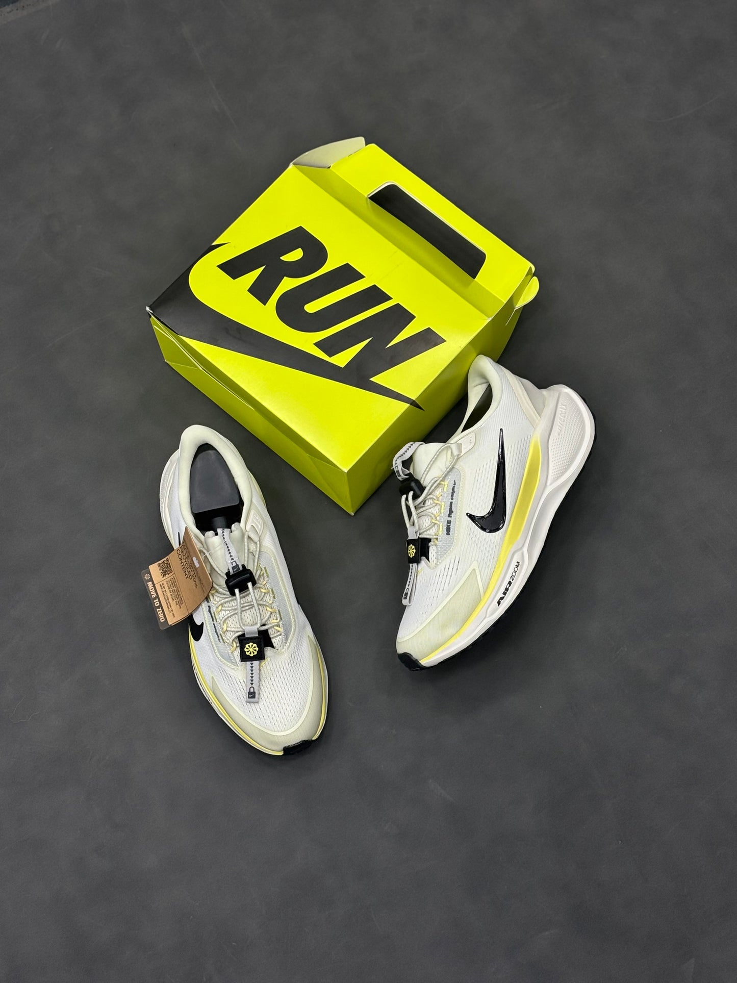 NIKE PEGASUS 41 EasyOn