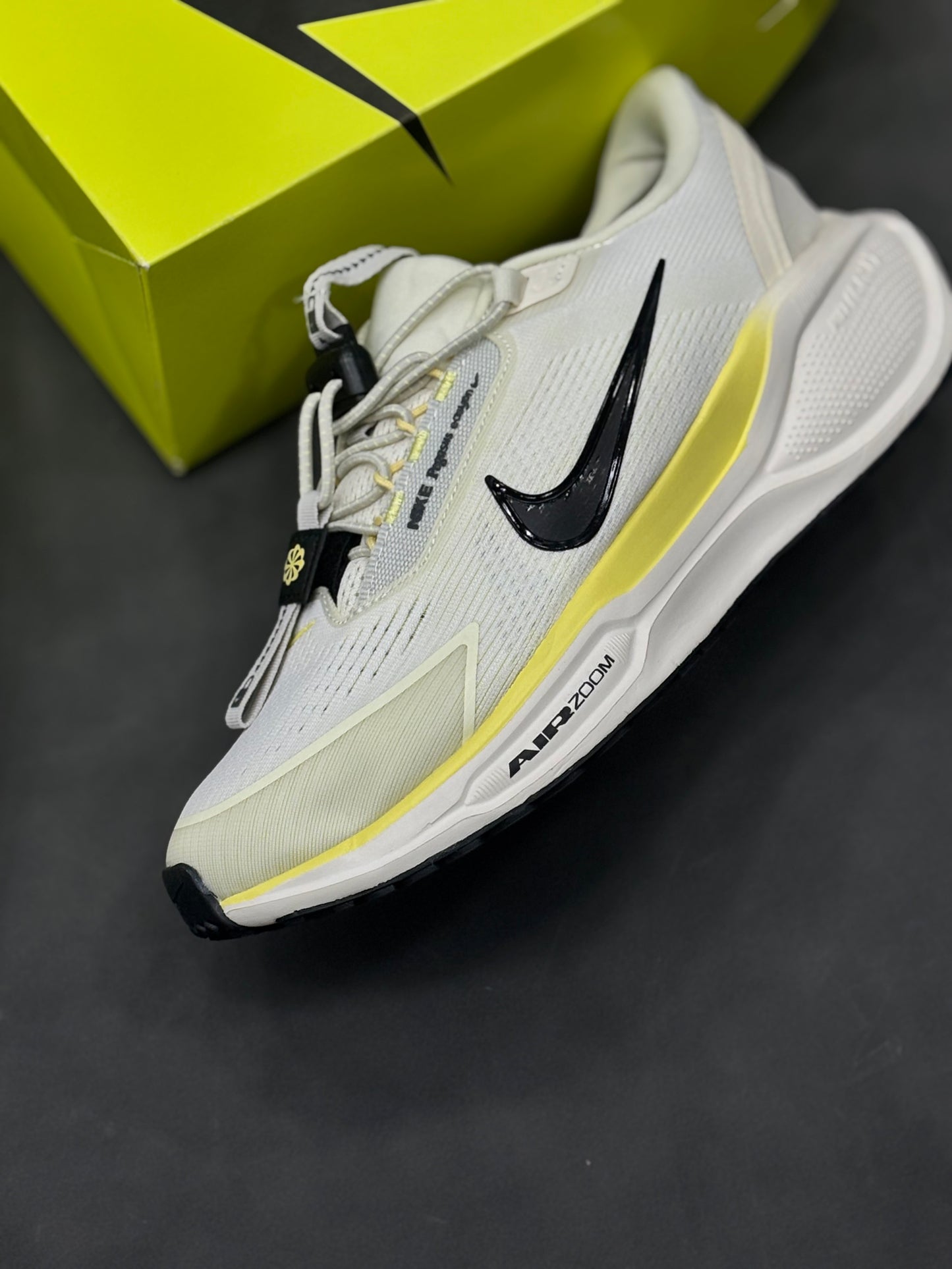 NIKE PEGASUS 41 EasyOn