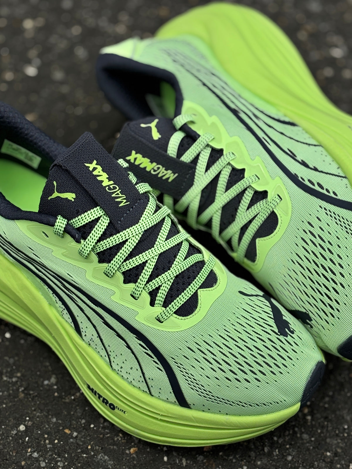Puma magmax nitro