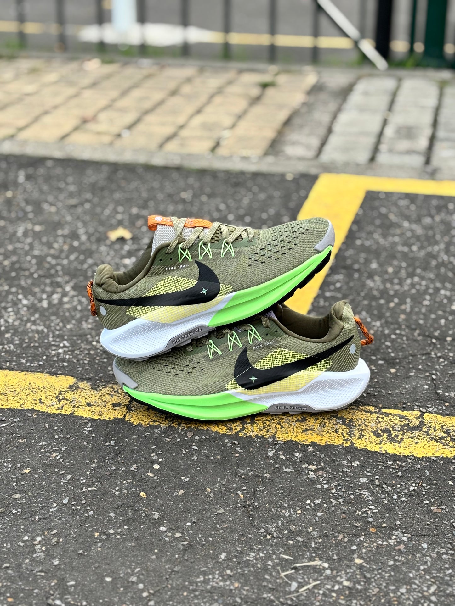 NIKE PEGASUS TRAIL