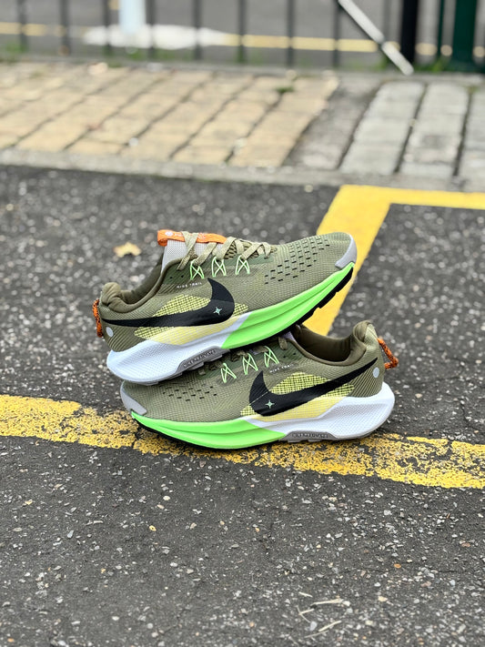 NIKE PEGASUS TRAIL