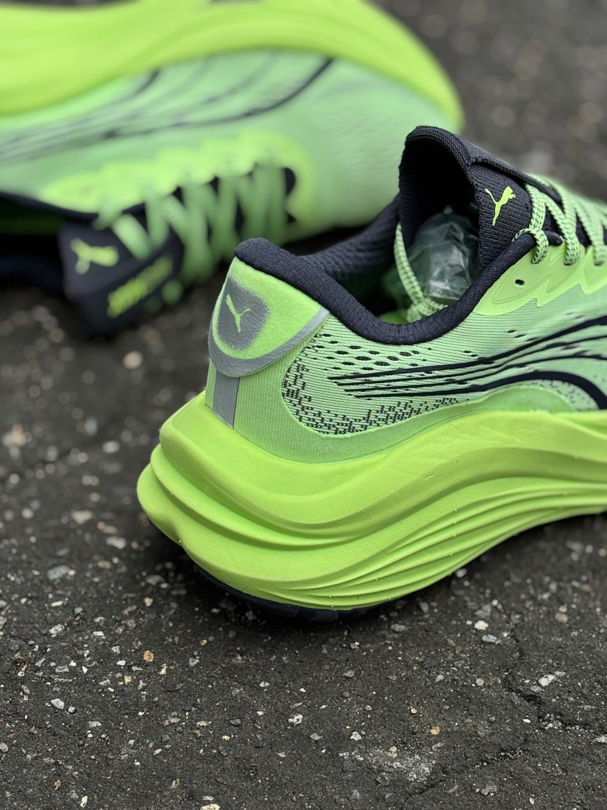 Puma magmax nitro