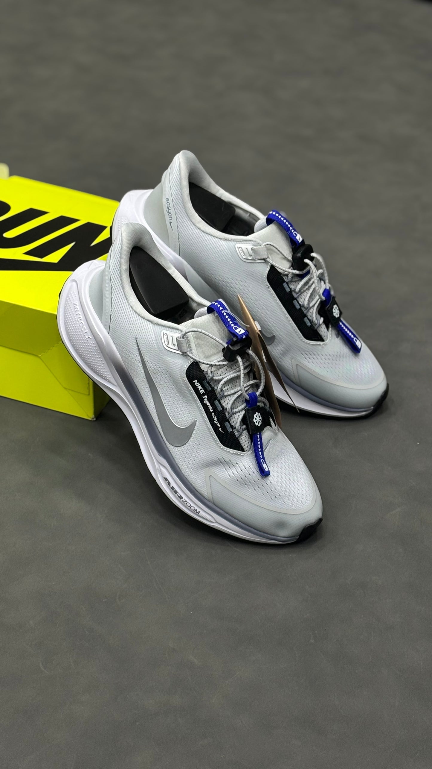 NIKE PEGASUS 41 EasyOn