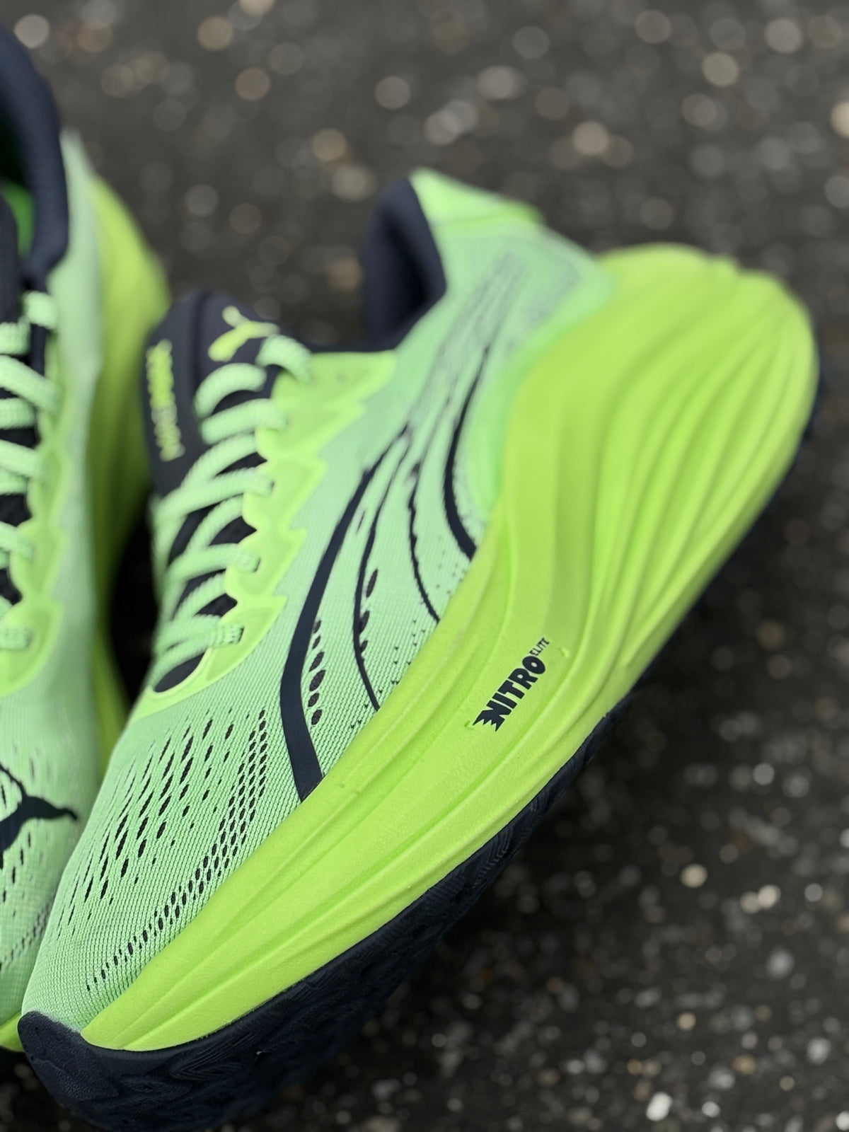 Puma magmax nitro